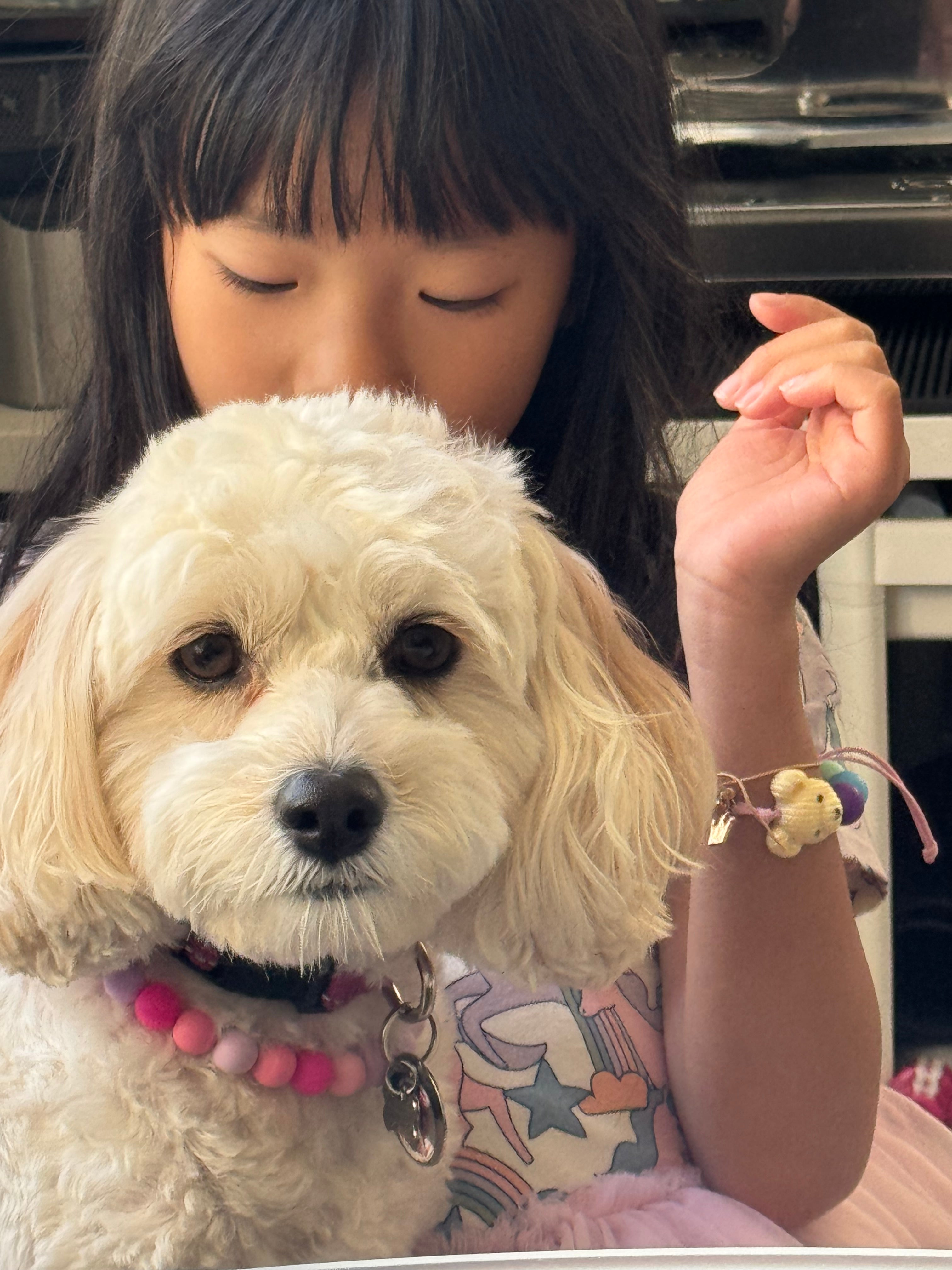 The Pet Necklace - Purple