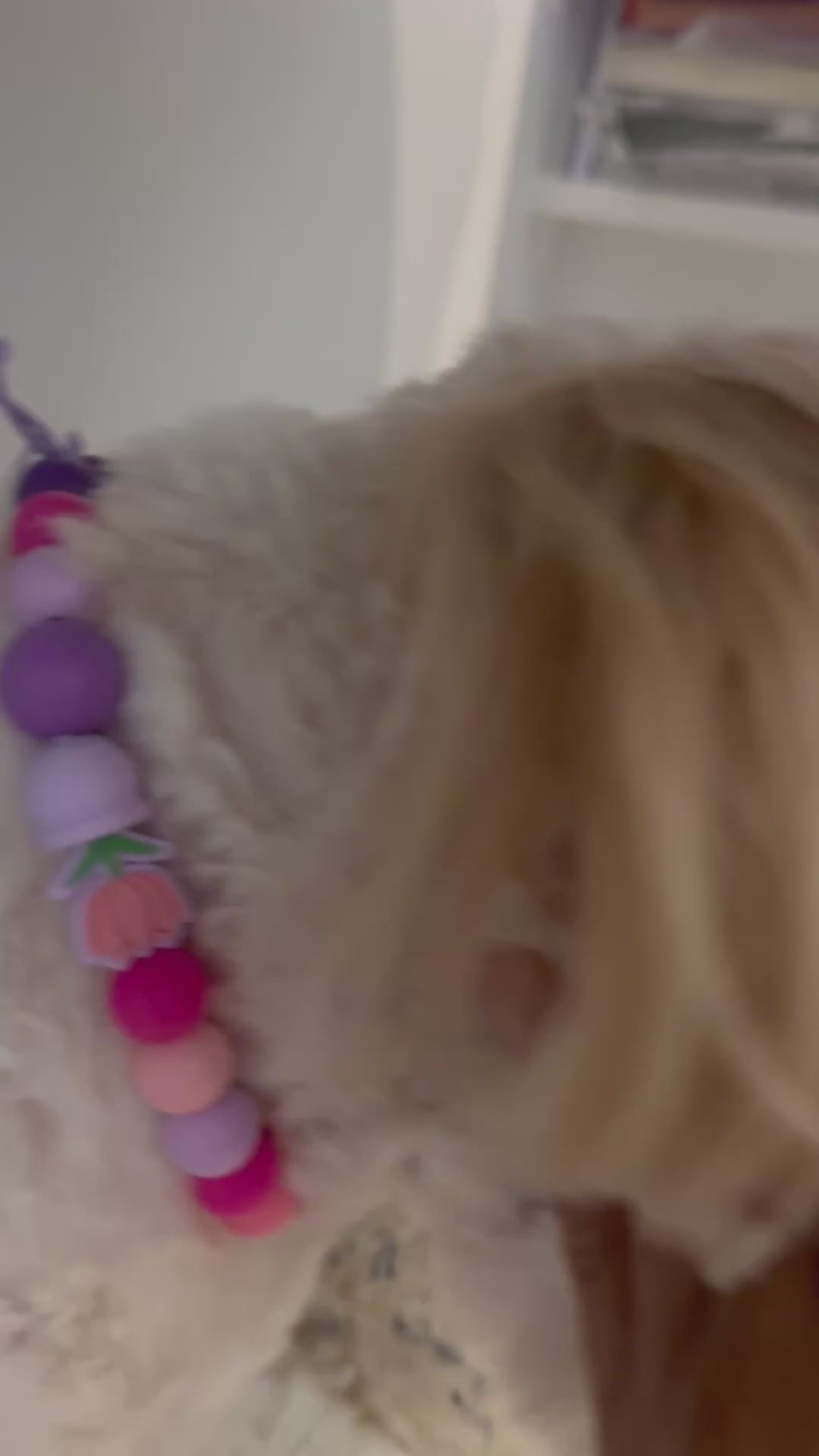 The Pet Necklace - Rainbow